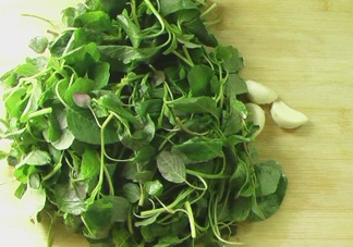 野莧菜怎么做好吃？野莧菜怎么保存