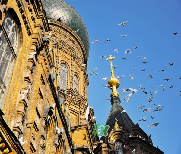 9月份去哈爾濱穿什么？九月份去哈爾濱穿什么衣服