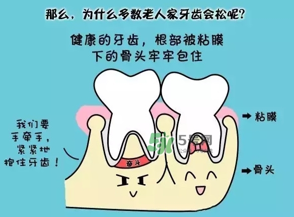 牙齒松動(dòng)會(huì)自己好嗎？牙齒松動(dòng)會(huì)自己掉嗎