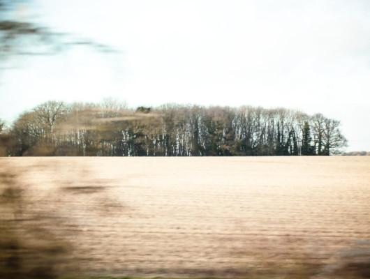 夢見牙齒松動或掉了是什么預兆？夢到自己掉牙是怎么回事