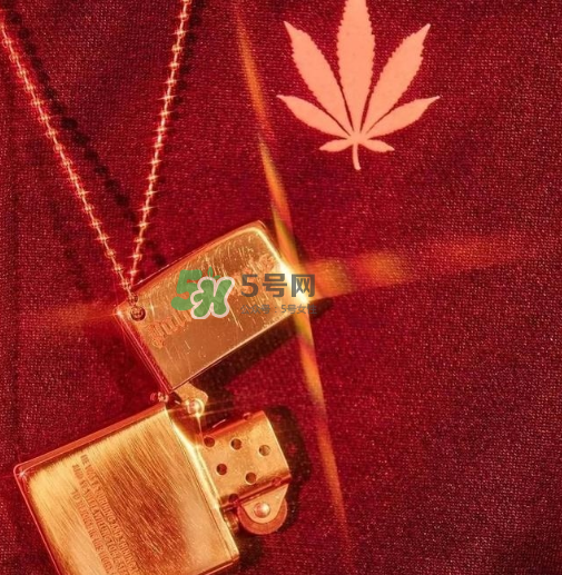 palm angels是什么牌子_哪個(gè)國家的_什么檔次？