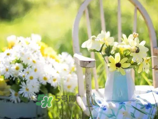 閏六月為什么熱？2017閏六月會(huì)多熱一個(gè)月嗎？