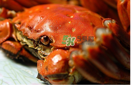 大閘蟹多少錢一斤2017？2017大閘蟹價(jià)格