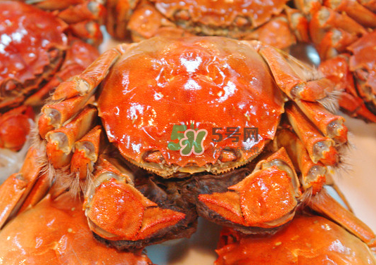 2017年陽澄湖大閘蟹多少錢一斤？2017陽澄湖大閘蟹價格