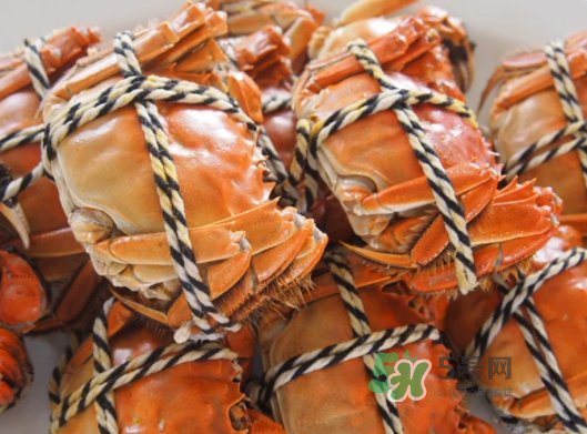 2017年陽澄湖大閘蟹多少錢一斤？2017陽澄湖大閘蟹價格