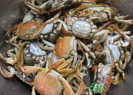 河蟹多少錢(qián)一斤2017？2017河蟹價(jià)格