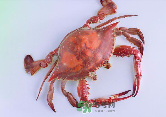 海蟹多少錢一斤2017？2017海蟹價(jià)格