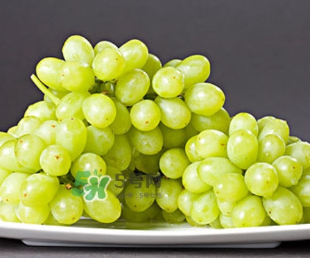 馬奶葡萄是提子嗎？馬奶葡萄怎么洗？