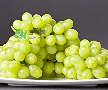 馬奶葡萄幾月成熟？吃馬奶葡萄有什么好處？