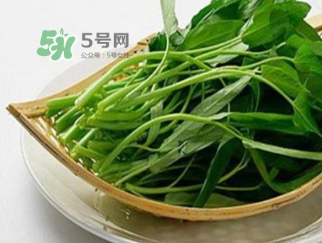 通心菜可以生吃嗎_生吃通心菜有什么壞處 通心菜可以生吃嗎_生吃通心菜有什么壞處