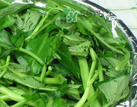 通心菜可以生吃嗎_生吃通心菜有什么壞處 通心菜可以生吃嗎_生吃通心菜有什么壞處