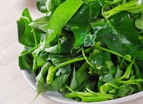 通心菜可以放冰箱保存嗎_通心菜能放冰箱幾天 通心菜可以放冰箱保存嗎_通心菜能放冰箱幾天