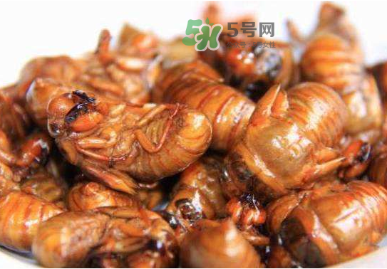 立秋后的知了還能吃嗎？立秋還有知了猴嗎？