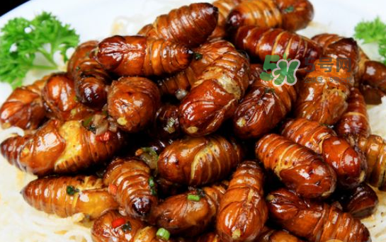 立秋后的知了還能吃嗎？立秋還有知了猴嗎？