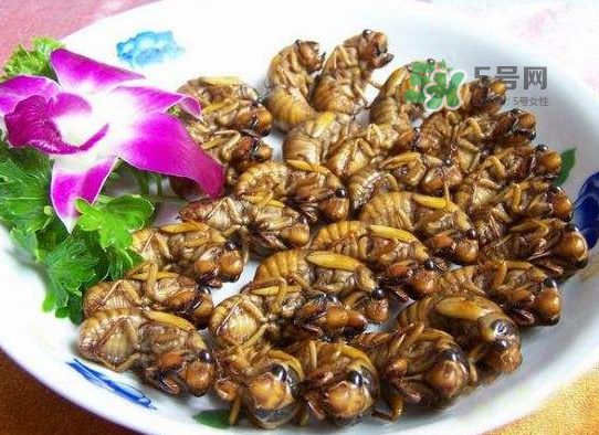 立秋后的金蟬能吃嗎？立秋后還有金蟬嗎？