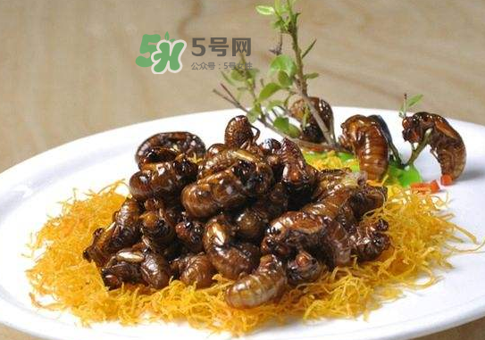 立秋后的金蟬能吃嗎？立秋后還有金蟬嗎？