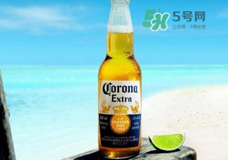 科羅娜啤酒多少錢一瓶？科羅娜啤酒好喝嗎