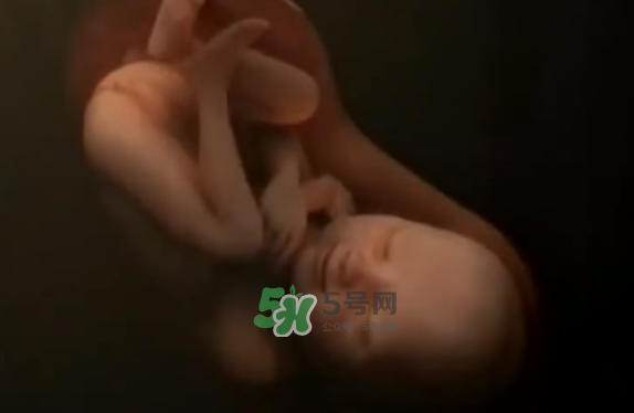 懷孕初期怎么保胎？陰道出血是流產(chǎn)征兆嗎？