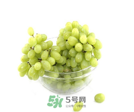 馬奶葡萄是提子嗎？馬奶葡萄怎么洗？