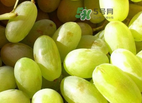 馬奶葡萄是提子嗎？馬奶葡萄怎么洗？