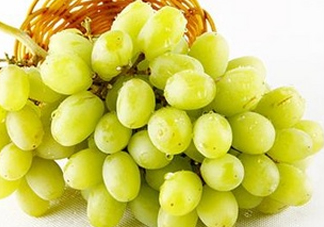馬奶葡萄是只有新疆有嗎？綠馬奶葡萄為什么發(fā)澀