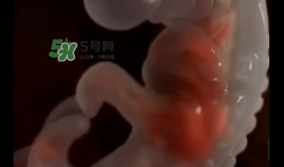 懷孕初期怎么保胎？陰道出血是流產(chǎn)征兆嗎？