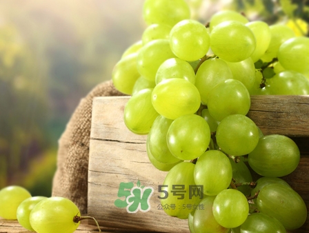 馬奶葡萄幾月成熟？吃馬奶葡萄有什么好處？