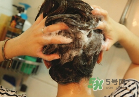 hair recipe水果洗發(fā)水怎么樣？hair recipe洗發(fā)水哪款好用
