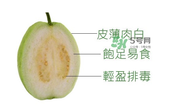 芭樂是什么季節(jié)的水果？芭樂什么時(shí)候吃最好