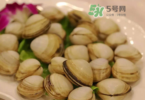 花蛤可以放冰箱冷凍嗎？花蛤放冰箱保鮮能吃嗎？