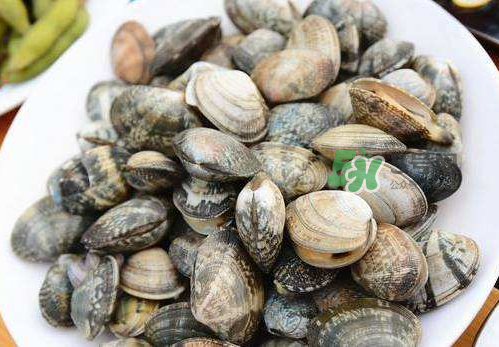 花蛤是什么 花蛤多少錢一斤市場(chǎng)價(jià) 花蛤是什么 花蛤多少錢一斤市場(chǎng)價(jià)