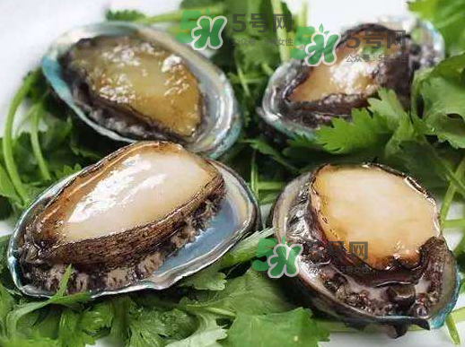 花蛤沒開口能吃嗎？花蛤不張嘴是不是死了？