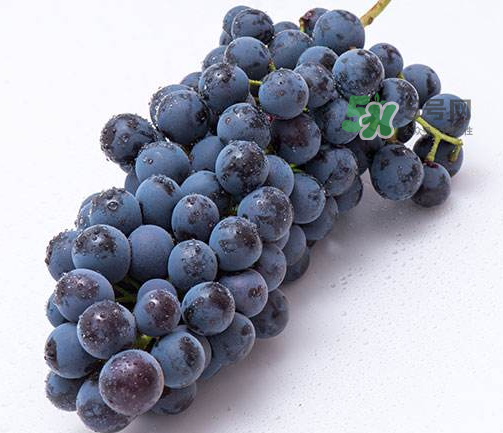 夏黑葡萄有籽嗎？夏黑葡萄好吃嗎？