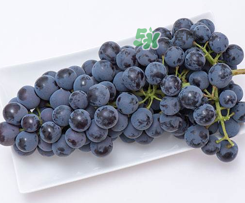 夏黑葡萄有籽嗎？夏黑葡萄好吃嗎？