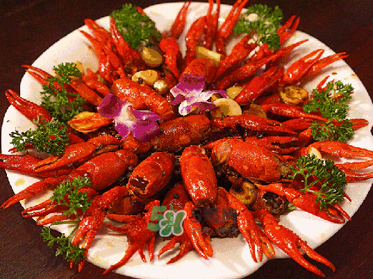 9月份還有小龍蝦嗎？九月份龍蝦怎么養(yǎng)？