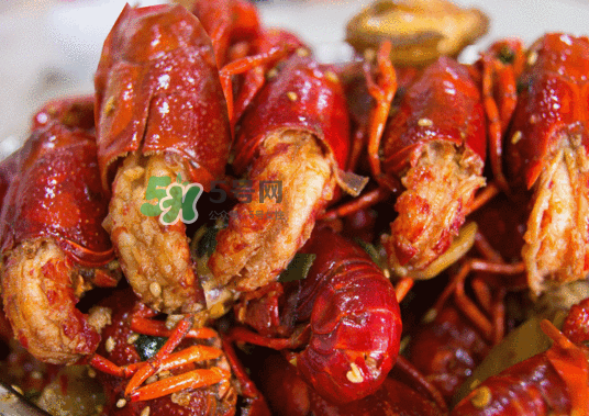 9月份還有小龍蝦嗎？九月份龍蝦怎么養(yǎng)？