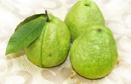 芭樂(lè)沒(méi)熟能吃嗎？芭樂(lè)怎么催熟