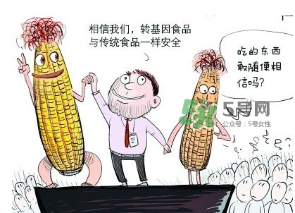 雜交水稻是不是轉(zhuǎn)基因？轉(zhuǎn)基因食品有哪些？