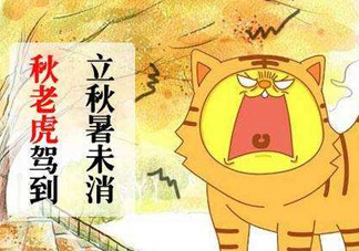 秋老虎熱嗎？末伏熱還是秋老虎熱？