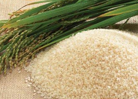 轉(zhuǎn)基因是什么意思？美國人不吃轉(zhuǎn)基因?qū)Ｙu中國人