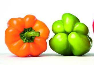 轉(zhuǎn)基因是什么意思？美國人不吃轉(zhuǎn)基因?qū)Ｙu中國人