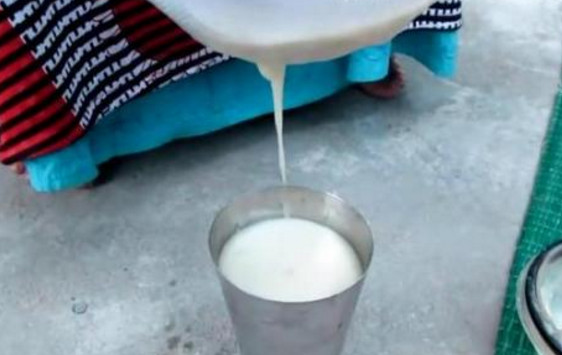 芭樂(lè)沒(méi)熟能吃嗎？芭樂(lè)怎么催熟