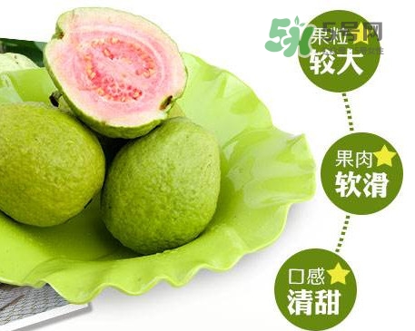 芭樂怎么挑選？如何挑選紅心芭樂