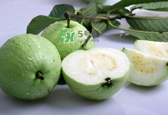 紅芭樂吃多了會怎么樣？吃白芭樂好還是紅芭樂好