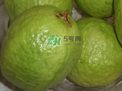 芭樂怎么挑選？如何挑選紅心芭樂