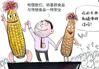 雜交水稻是不是轉(zhuǎn)基因？轉(zhuǎn)基因食品有哪些？