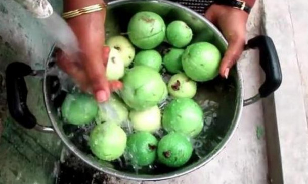 芭樂(lè)沒(méi)熟能吃嗎？芭樂(lè)怎么催熟