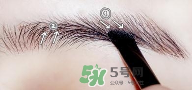 三色眉粉怎么用 三色眉粉畫法步驟教程 三色眉粉怎么用 三色眉粉畫法步驟教程