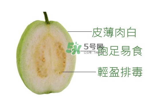 芭樂可以減肥嗎？吃芭樂可以喝牛奶嗎？