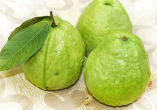 芭樂(lè)沒(méi)熟能吃嗎？芭樂(lè)怎么催熟